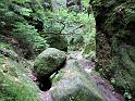 2010-06-12, Uttewalder Grund (40)